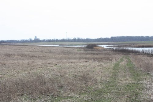 Property photo 16 - 194.67 Acres Offered in 2 Tracts